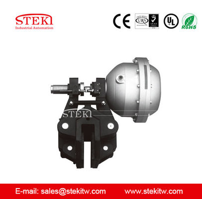 Disc Brakes with Max Air Pressure 0.7Mpa 30 Years Experience in Pneumatic Manufacturin